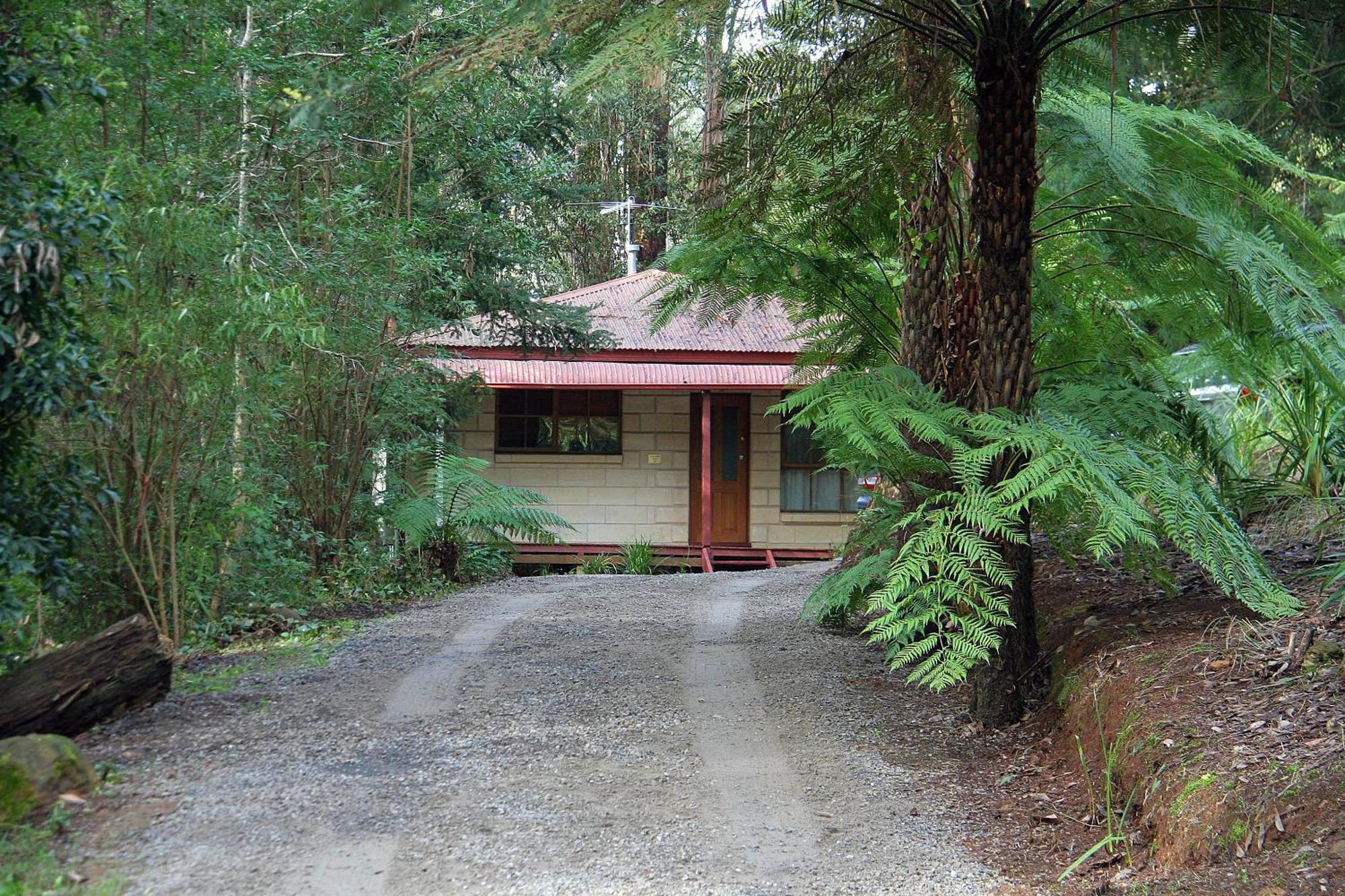 The Fernglen Forest Retreat Mount Dandenong Exterior photo