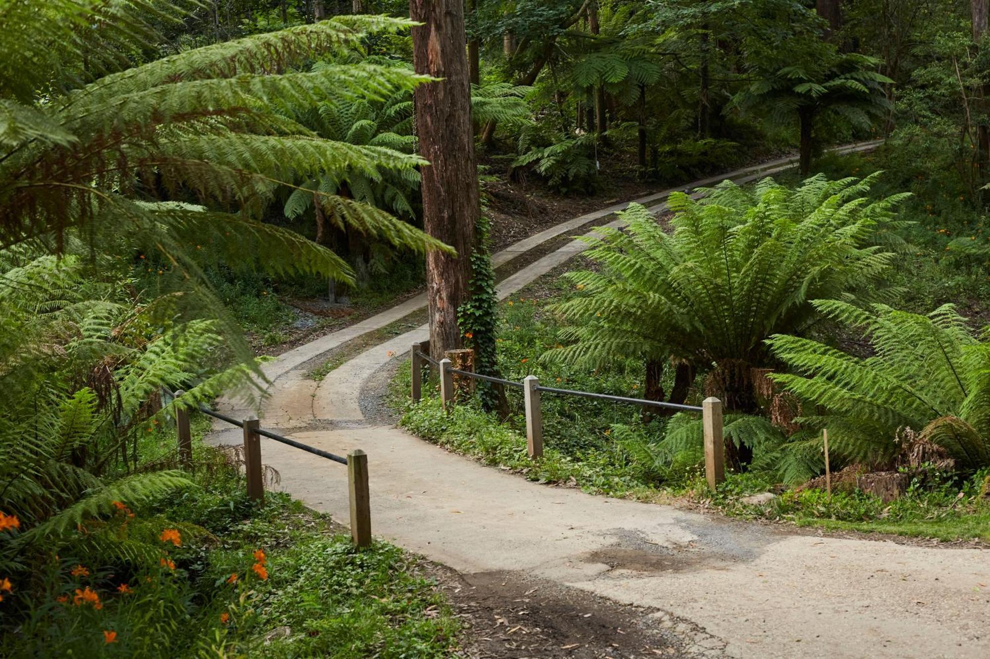 The Fernglen Forest Retreat Mount Dandenong Exterior photo